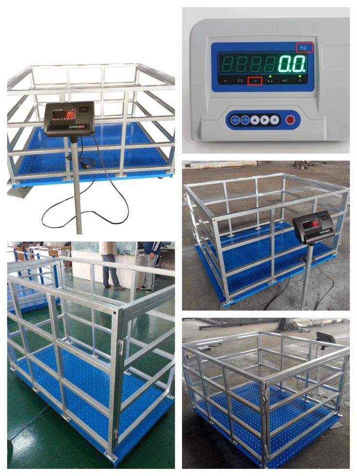 digital cattle weigh scale